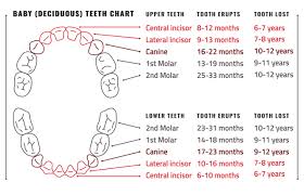 childhood dental milestones