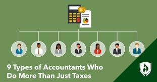 accountants who do more than just ta
