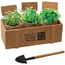 3 Planter Window Box Herb Blossom Kit