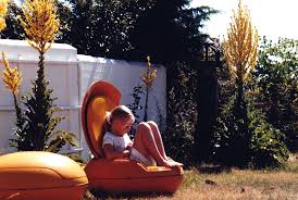 garden egg chair by peter ghyczy 1968