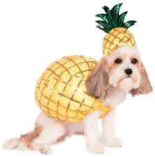 Rubies Pineapple Pet Costume