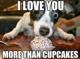 I love you more than cupcakes - Cupcake puppy - quickmeme via Relatably.com