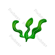 รูป การ์ตูน สาหร่าย algae
