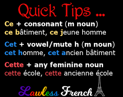ces french demonstrative adjectives