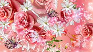 roses and erflies pink flowers