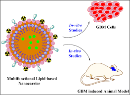 lipid based nanocarriers in the