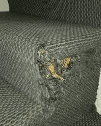 carpet repair dublin rug carpet