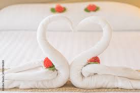 swan couple put on honeymoon bed look
