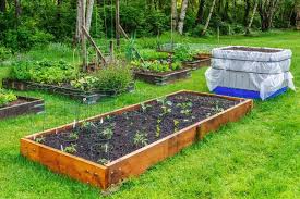 organize your backyard vegetable garden