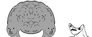 Small brain wojak mask / memeatlas. Groupthink Indivual Thot Npc Wojak Know Your Meme