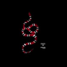 gucci snake wallpapers wallpaper cave