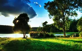 Grama, árvores, beira rio, raios do sol, nuvens HD Papéis de Parede |  natureza | visualização Papéis de Parede | PT.HDWALL365.com