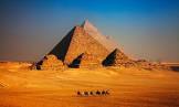 Amid the Pyramids  Movie