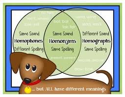 Kearsons Classroom Homophones Homonyms Homographs