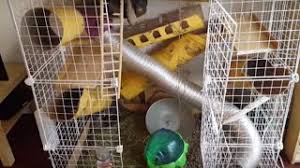 diy customizable chinchilla cage