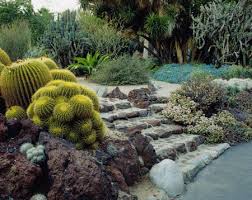 what is drought tolerant gardening