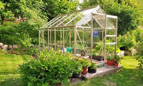 the 50 best greenhouse plants to grow