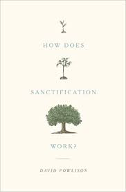 How Does Sanctification Work Amazon Co Uk David Powlison