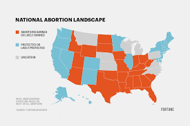 These states have banned abortion. Here ...