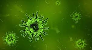 Jun 28, 2021 · the new variant seems to not only be rising, but it has started to dominate the infections in south africa, said tulio de oliveira, director of kzn research innovation & sequencing platform (krisp). J12gq5fn7plxim
