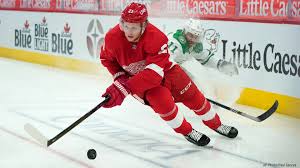 Player overview & base stats. Newly Acquired Jakub Vrana Scores 4 Red Wings Top Stars Woodtv Com