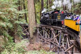 roaring c big trees railroad