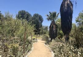 rancho santa ana botanic garden day