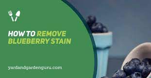 how to remove blueberry stain