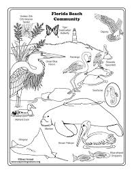 You can search several different ways, depending on what information you have available to enter in the site's search bar. Florida Beach Community Coloring Page