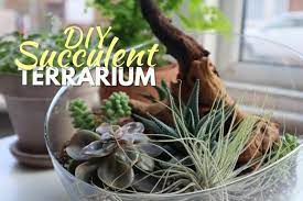 How To Make A Succulent Terrarium Diy