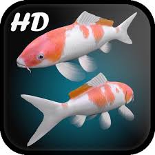 koi fish live wallpaper 3d apk