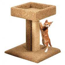 cat scratcher with bed sisal carpet