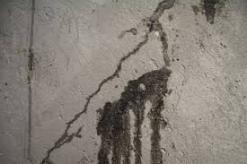 Wall Seepage Repair Dryproof