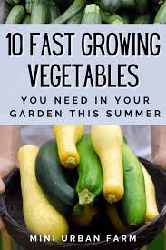 10 Fast Growing Summer Vegetables For A