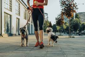 gift ideas for dog walkers