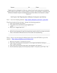 Cell division answer key vocabulary: 31 Cell Cycle And Mitosis Worksheet Worksheet Project List