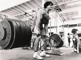 How To Deadlift Proper Form And Deadlift Information