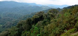 nyungwe national park is a unesco world