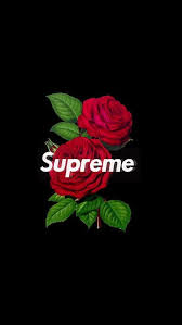 Here are handpicked best hd supreme background pictures for desktop, iphone, and mobile phone. Search For Images Stickers Hashtags Creators On Picsart Supreme Iphone Wallpaper Supreme Wallpaper Hypebeast Wallpaper