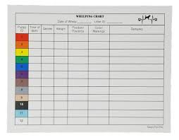 Details About Two Arrows Puppy Whelping Charts For Record Keeping Great For Breeders Works