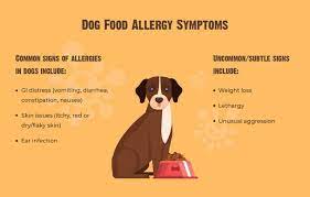 food allergies in dogs symptoms