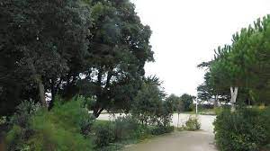 Le Petit bois devient esplanade Salies-de-Béarn