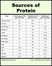 We Researched The Protein Content Of Various Foods