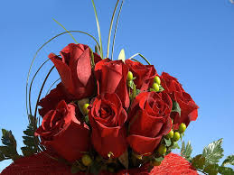 red roses bonito sky flowers beauty