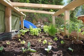 Successful Backyard Farming Gardening