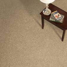 carpet one tigressa rug review