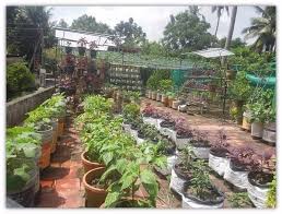 There S An Organic Farming Revolution