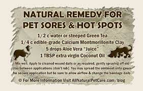 natural remedy recipe for pet sores and