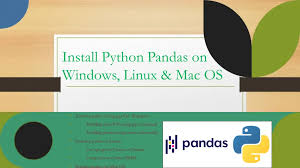 install python pandas on windows linux