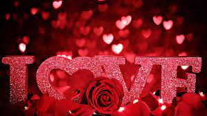 i love u romantic hd wallpaper red